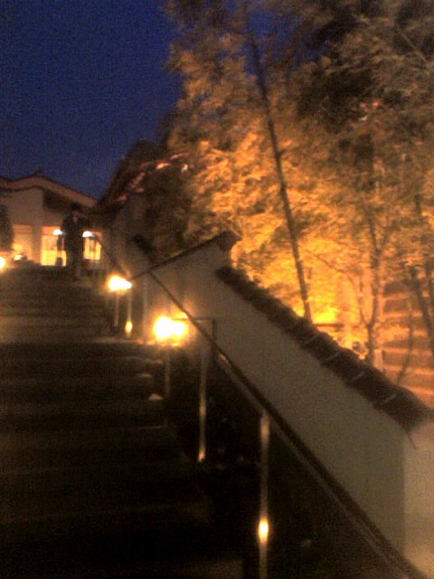 080309_1811001 080309_1811001