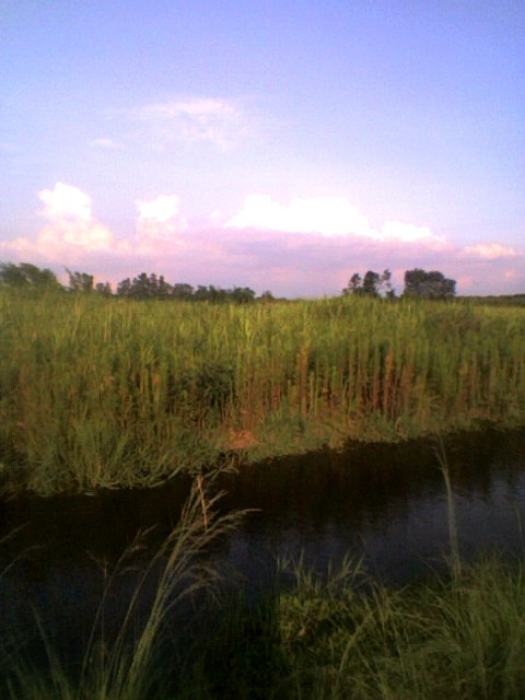 080815_1701001 080815_1701001