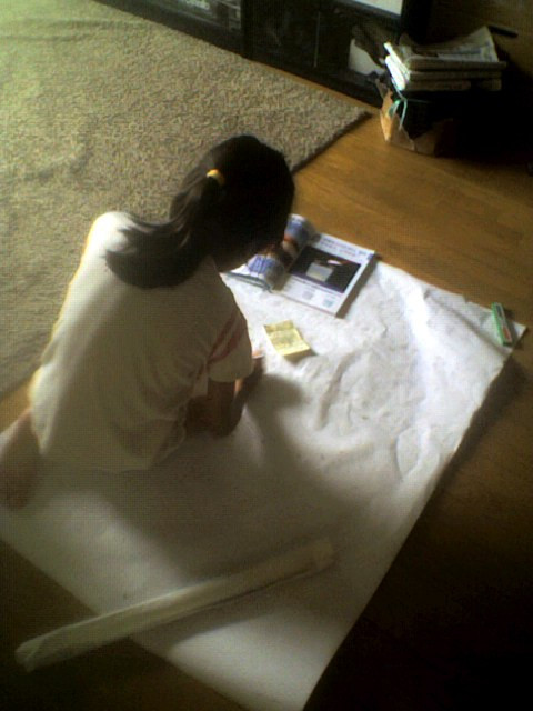 090809_1207001 090809_1207001