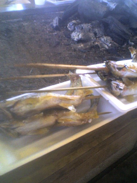 090815_1337001 090815_1337001