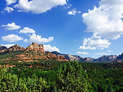 11890920_802738023177769_3210256256