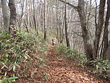 12241017_712068178927975_8667094213