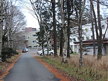 12265764_712068548927938_7690010874