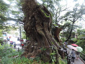 Dscn0665_2 Dscn0665_2