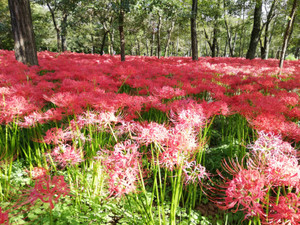 Img_20191005_143826_4