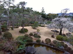 Img_20240211142826395