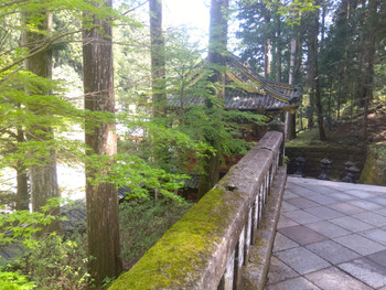 Img_20250503122018007_2