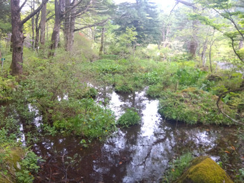 Img_20250504130635520